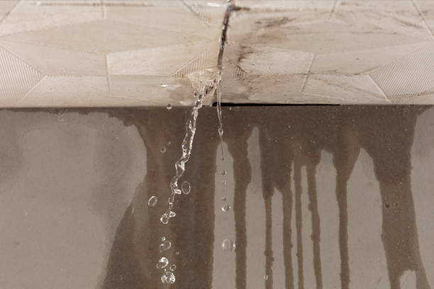 Professional Sewage Cleanup technician working in Belvidere, TN
